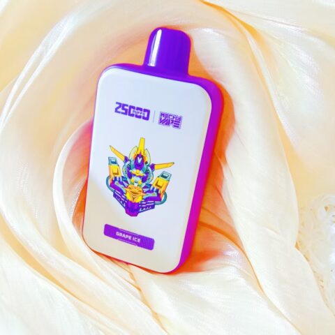 Perché l’ATVS/ATUS 25000 è dotato di display e caricabatterie Type-C su un dispositivo monouso?