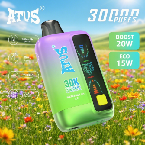 Dove si trovano le sigarette elettroniche usa e getta da 30.000 Puff più diffuse al mondo?